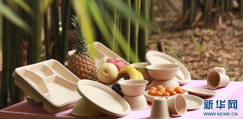 七十二變，竹產(chǎn)業(yè)拔節(jié)向上——環(huán)?？萍假x能傳統(tǒng)產(chǎn)業(yè)煥新